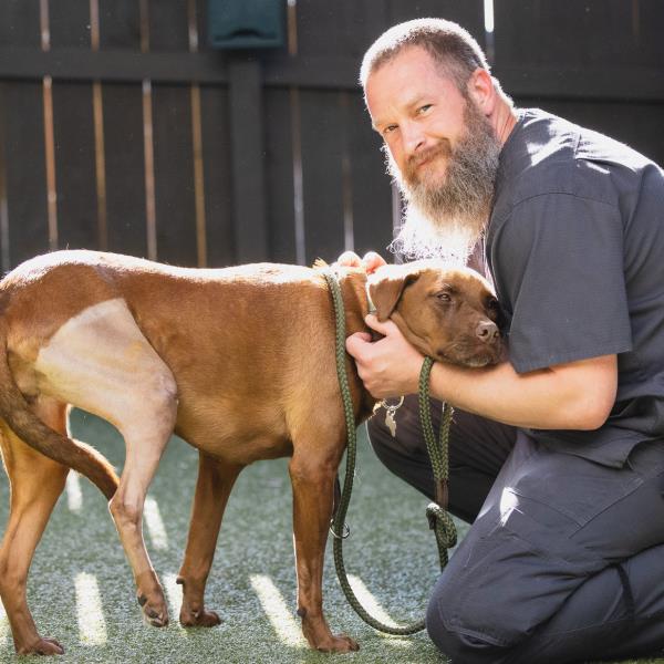 capital_animal_hospital_video_thumb.jpg
